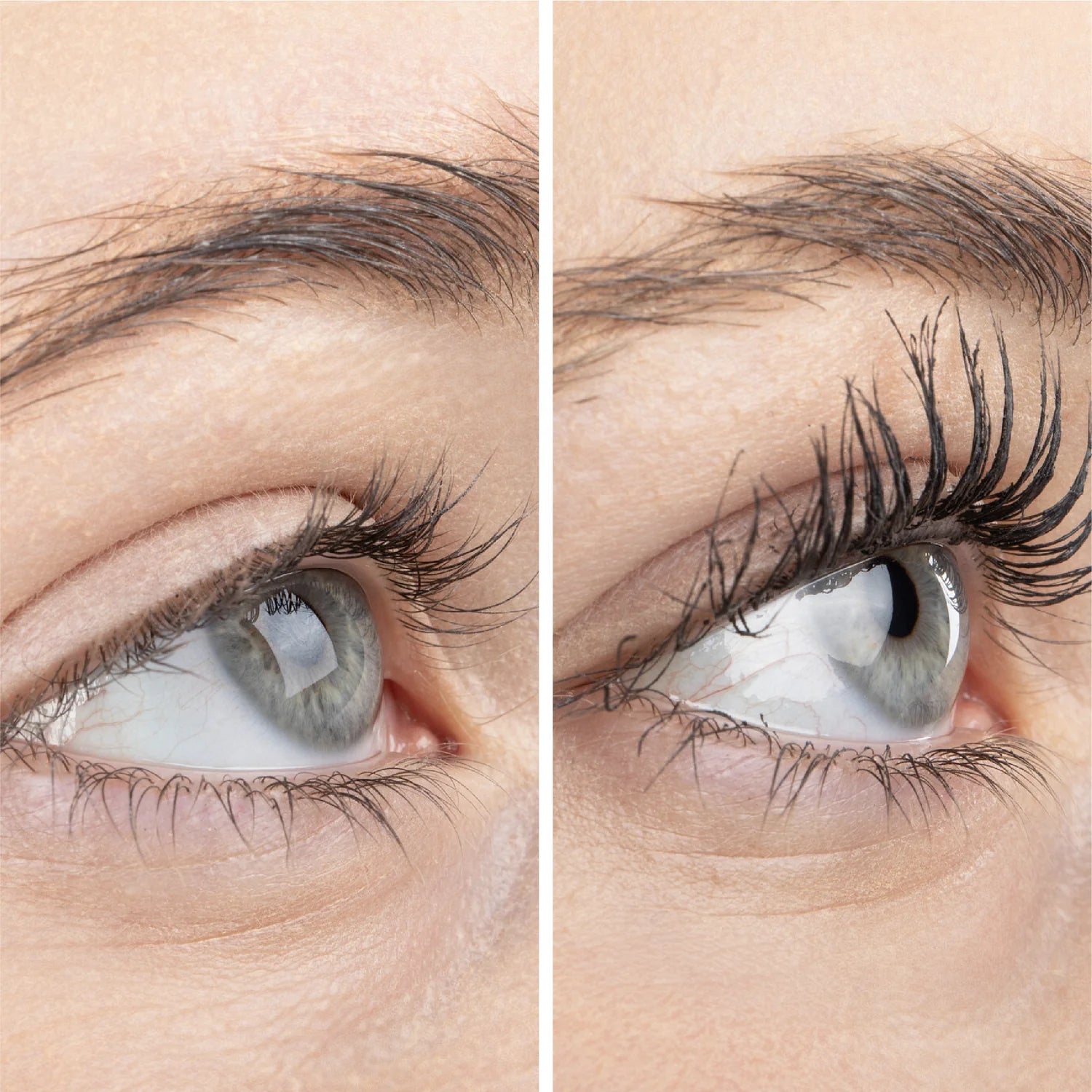 Before and After Lash Comparison
